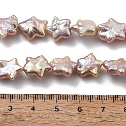 Natural Baroque Keshi Pearl Beads Strands&nbsp;PEAR-P064-04B-01B