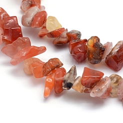 Natural Carnelian Beads Strands&nbsp;G-P332-04