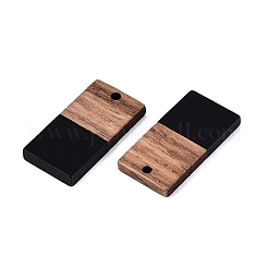 20Pcs 10 Styles Opaque Resin & Walnut Wood Pendants&nbsp;RESI-N053-02