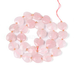 Natural Rose Quartz Beads Strands&nbsp;G-P592-B20-01