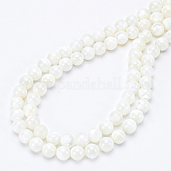 2 Strands Natural Trochid Shell/Trochus Shell Beads Strands&nbsp;BSHE-BC0001-07