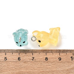 Luminous Transparent Resin Pendants&nbsp;RESI-Z043-02P