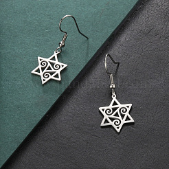 304 Stainless Steel Dangle Earrings&nbsp;FS-WGD23E6-01