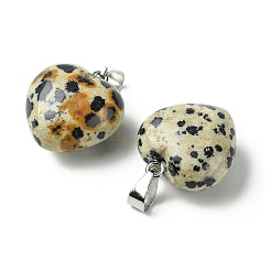 Natural Dalmatian Jasper Pendants&nbsp;G-F820-10A-03