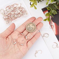 304 Stainless Steel Leverback Earring Findings&nbsp;STAS-UN0001-67RG