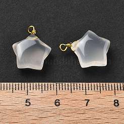 Natural Agate Star Pendants&nbsp;G-U025-03G