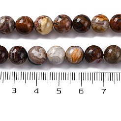 Natural Mexico Crazy Agate Beads Strands&nbsp;G-L615-A01-02
