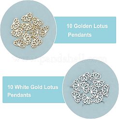 20Pcs 2 Colors Brass Charms&nbsp;KK-FH0002-18