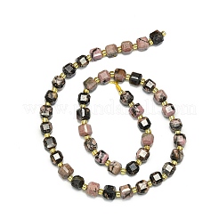Natural Rhodonite Beads Strands&nbsp;G-I376-D15-01