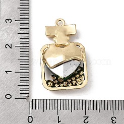 Alloy Rhinestone Pendants&nbsp;FIND-H055-11G
