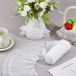 Polyester Lace Ribbon&nbsp;OCOR-WH0120-81B