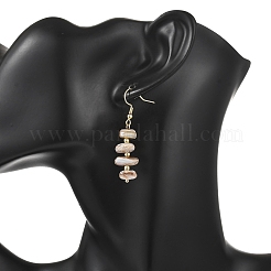 304 Stainless Steel Dangle Earrings&nbsp;EJEW-JE07255