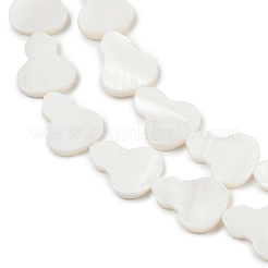 Natural Freshwater Shell Beads Strands&nbsp;SHEL-K010-02C
