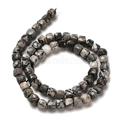 Natural Map Stone/Picasso Stone/Picasso Jasper Beads Strands&nbsp;G-H078-C07-01