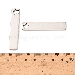 201 Stainless Steel Big Pendants&nbsp;SA-CBAE507-01B-P