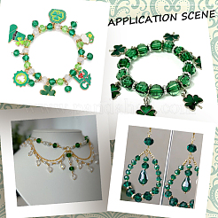 750Pcs 15 Styles Saint Patrick's Day DIY Beads Kits&nbsp;DIY-SP0006-64B