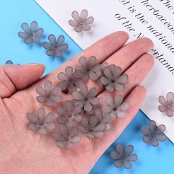 Transparent Acrylic Beads&nbsp;MACR-S373-107-D02