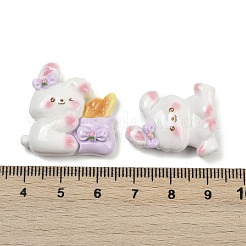 Rabbit Theme Resin Cabochons&nbsp;RESI-K043-15