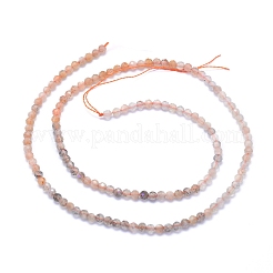 Natural Multi-Moonstone Beads Strands&nbsp;G-I279-E13-01