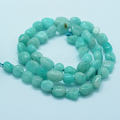 Natural Amazonite Beads Strands&nbsp;G-K203-19