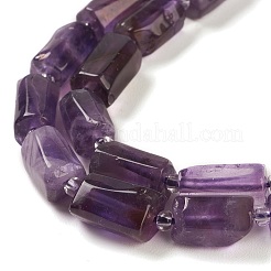 Natural Amethyst Beads Strands&nbsp;G-M403-B23