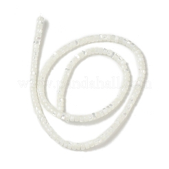 Natural Trochid Shell/Trochus Shell Beads&nbsp;BSHE-B005-12