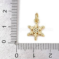 Brass Micro Pave Cubic Zirconia Charms&nbsp;KK-H077-02G-04