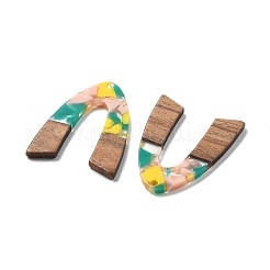 Resin and Walnut Pendants&nbsp;FIND-R051-11F
