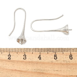 Brass Earring Hooks&nbsp;KK-I655-10P