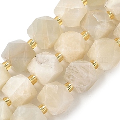 Natural Moonstone Beads Strands&nbsp;G-G271-A02-01