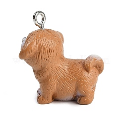 Cute Opaque Resin Pendants&nbsp;RESI-R458-05D