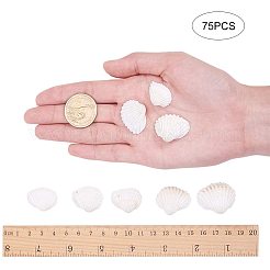 Shell Beads&nbsp;BSHE-PH0003-15