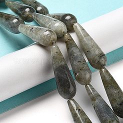 Natural Labradorite Beads Strands&nbsp;G-P528-H04-01