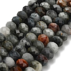 Natural Eagle Eye Stone Beads Strands&nbsp;G-Z111-A11-02