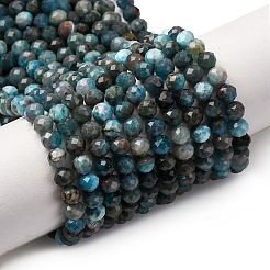 Natural Apatite Beads Strands&nbsp;X-G-A276-C08-4mm-01