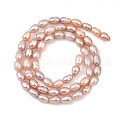 Natural Cultured Freshwater Pearl Beads Strands&nbsp;PEAR-F020-11