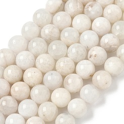 Natural White Moonstone Beads Strands&nbsp;G-F674-08-8mm-01