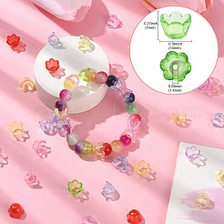 Transparent Acrylic Bead Caps&nbsp;MACR-CJC0006-01