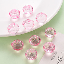 Transparent Acrylic Pendants&nbsp;TACR-T024-05B-903