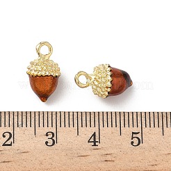 Alloy Enamel Charms&nbsp;X-FIND-C074-02A