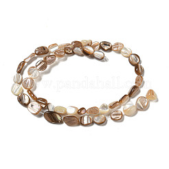 Natural Seashell Beads Strands&nbsp;SSHEL-H072-14