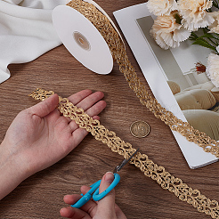 Polyester Lace Ribbon&nbsp;OCOR-CY0003-71