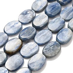 Natural Kyanite Beads Strands&nbsp;G-H335-D01-13x18mm