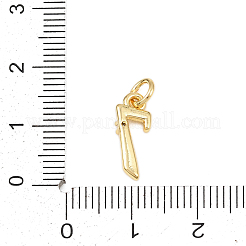 Brass Micro Pave Clear Cubic Zirconia Charms&nbsp;KK-P339-27G-07