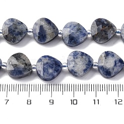 Natural Blue Spot Jasper Beads Strands&nbsp;G-P570-E19-02