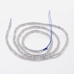 Natural Labradorite Beads Strands&nbsp;G-K185-10