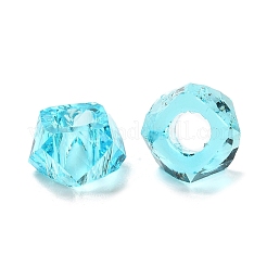 Transparent Resin European Beads&nbsp;RESI-B020-01E