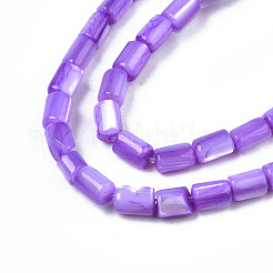 Natural Trochid Shell/Trochus Shell Beads Strands&nbsp;SHEL-N003-26-B02