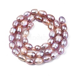 Natural Cultured Freshwater Pearl Beads Strands&nbsp;PEAR-N012-06A