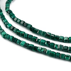Natural Malachite Beads Strands&nbsp;G-C009-B24-01